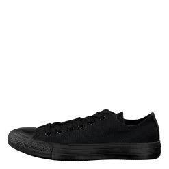 Converse All Star Canvas Ox
