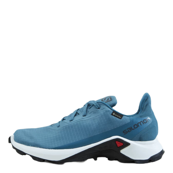Salomon Alphacross 3 Gtx W Bluestone/wht/mallard Blue 1 Salomon Alphacross 3 Gtx W Bluestone/wht/mallard Blue