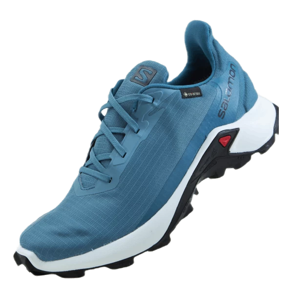 Salomon Alphacross 3 Gtx W Bluestone/wht/mallard Blue 6 Salomon Alphacross 3 Gtx W Bluestone/wht/mallard Blue - Afbeelding 6
