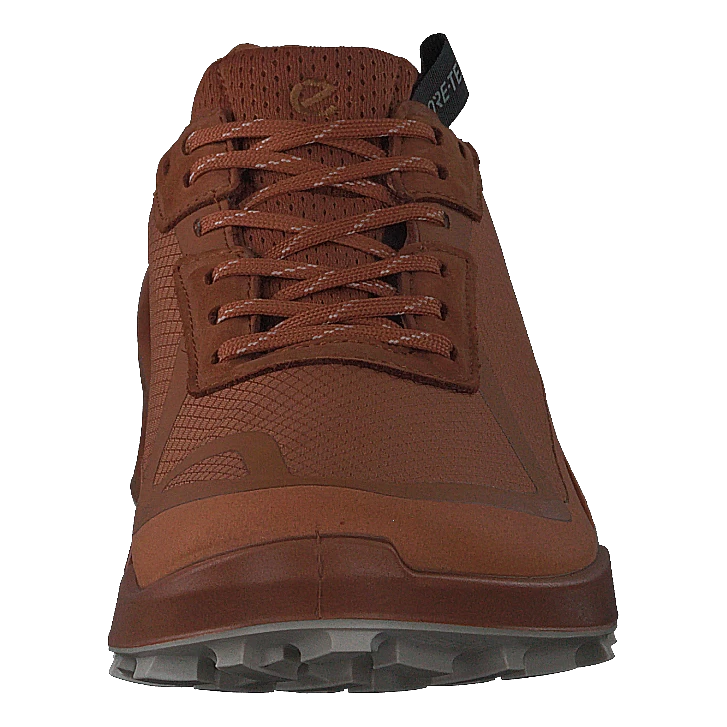 Ecco Biom 2.1 X Country W Sierra/sierra 4 Ecco Biom 2.1 X Country W Sierra/sierra - Afbeelding 4