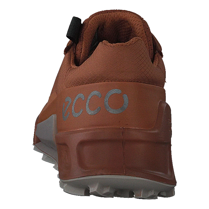 Ecco Biom 2.1 X Country W Sierra/sierra 5 Ecco Biom 2.1 X Country W Sierra/sierra - Afbeelding 5