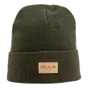 Bula Travel Beanie Green